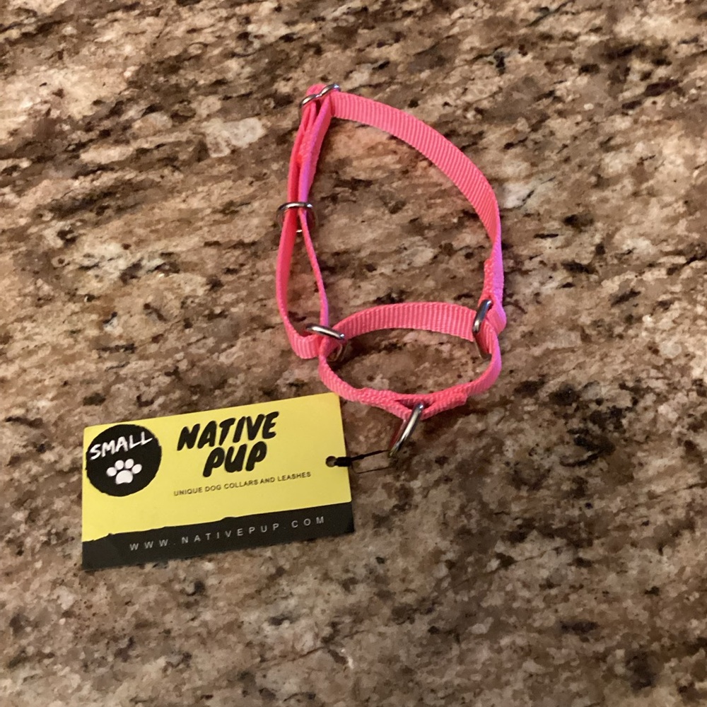 Brand new dog collar size small